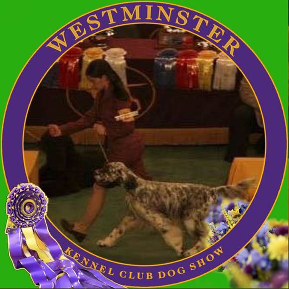 keeleysetters